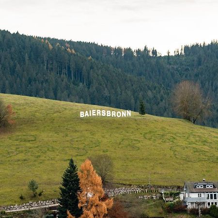 Haus Irene Gemuetlich Moderner Schwarzwald Lejlighed Baiersbronn Eksteriør billede