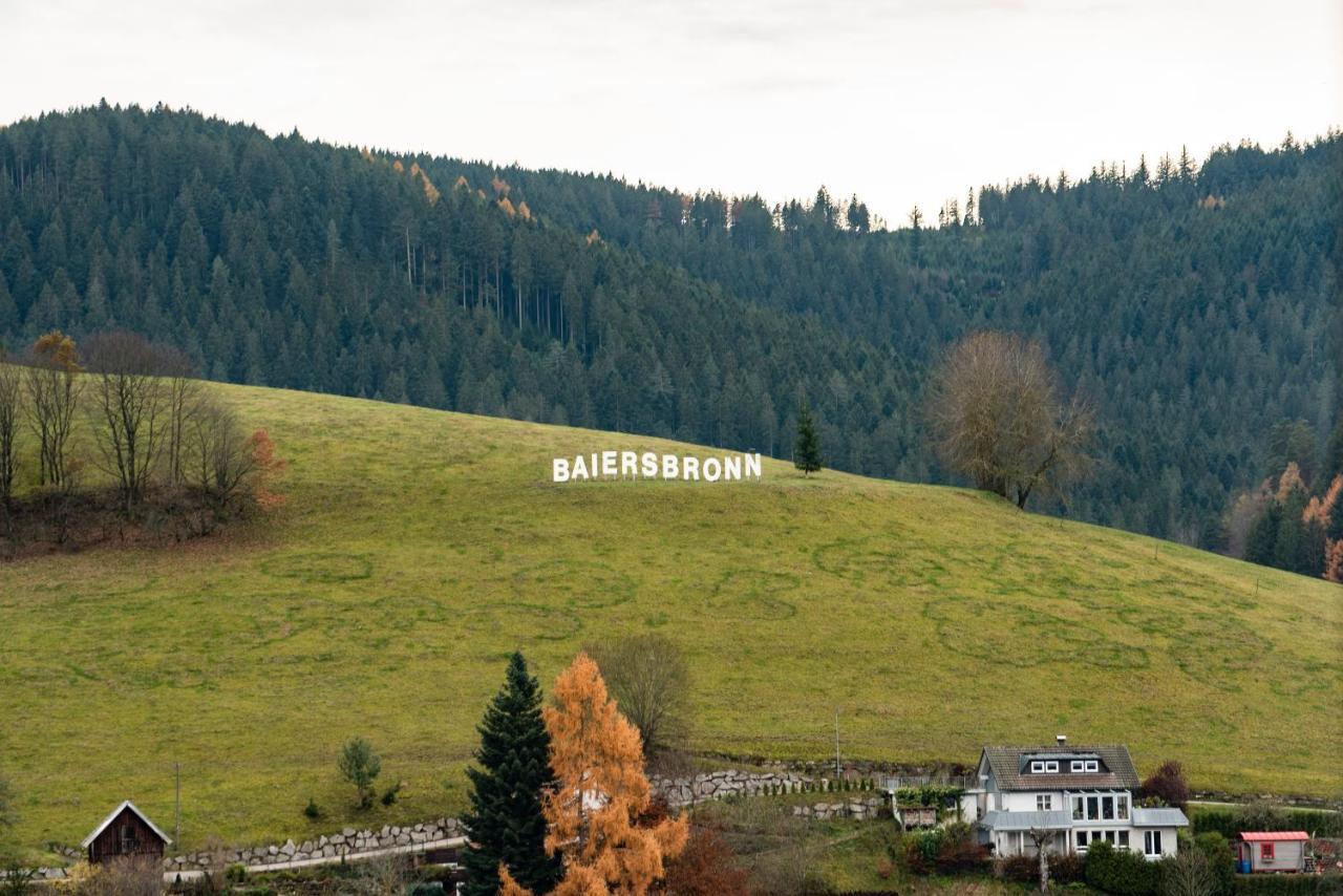 Haus Irene Gemuetlich Moderner Schwarzwald Lejlighed Baiersbronn Eksteriør billede